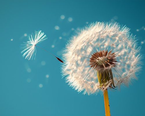 ALERGIAS PRIMAVERALES: CÓMO AFECTAN A LOS OJOS